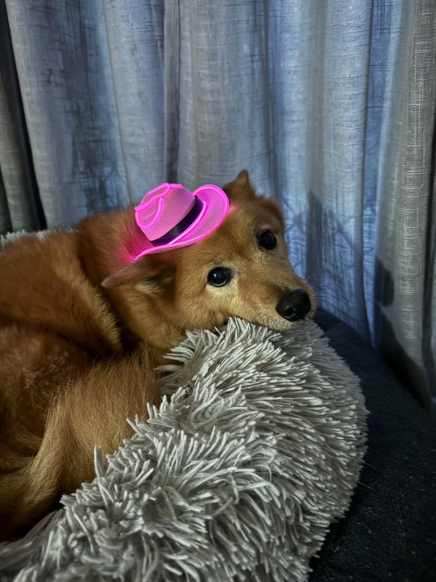 Light 'Em Up Cowboy Hat! image 11