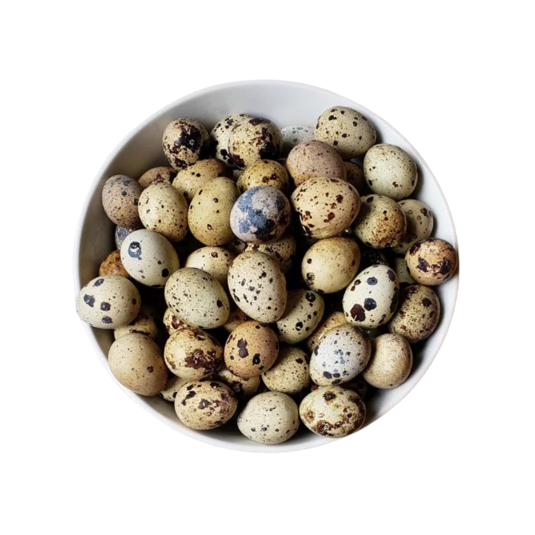 Freeze Dried Whole Quail Eggs - 12 Pack image 0