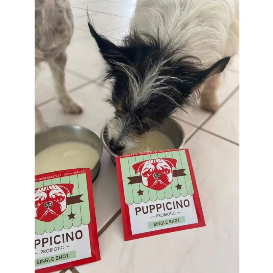 Puppicino image 1