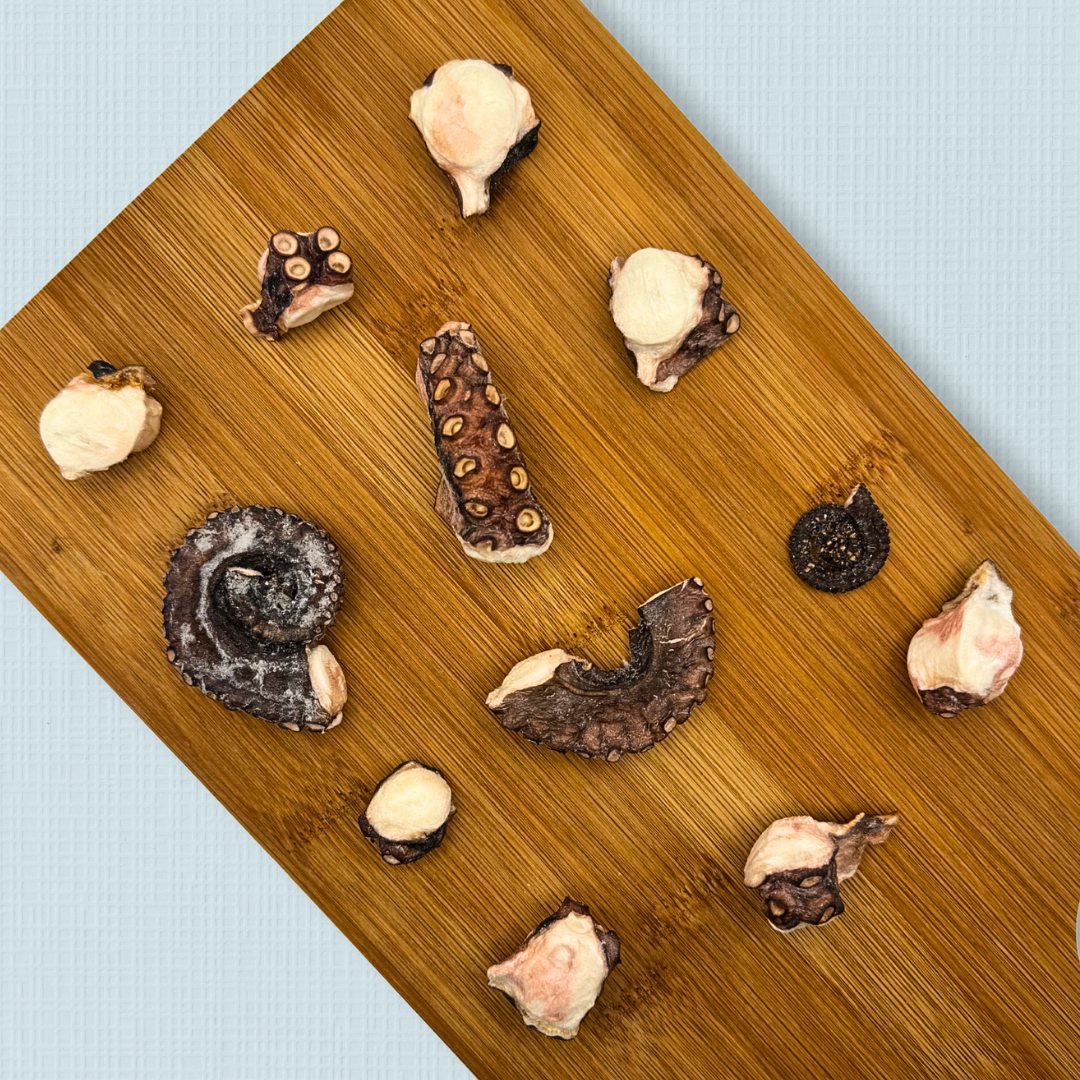Freeze Dried Octopus Chips