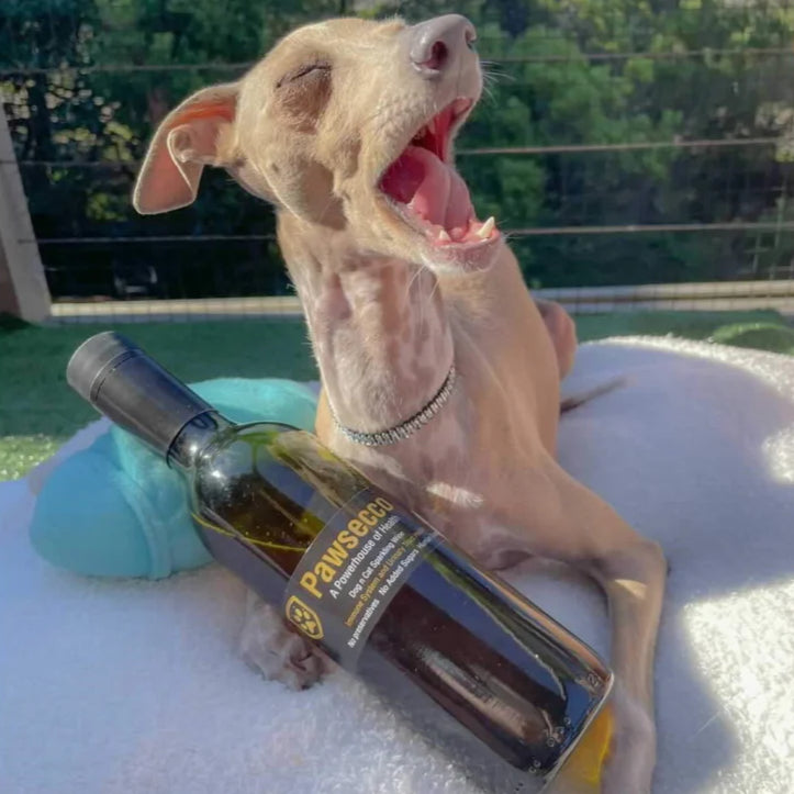 Pawsecco Dog Wine image 1