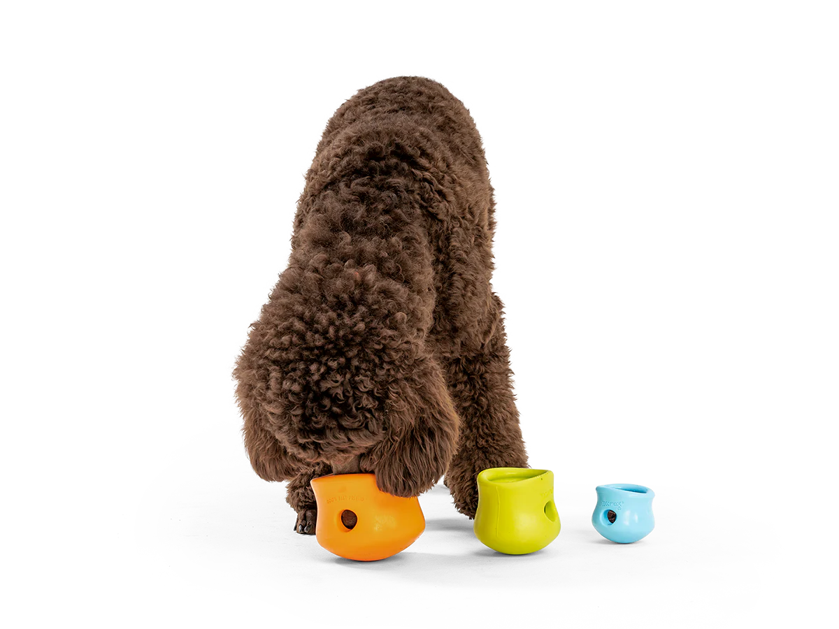 WestPaw Toppl image 13