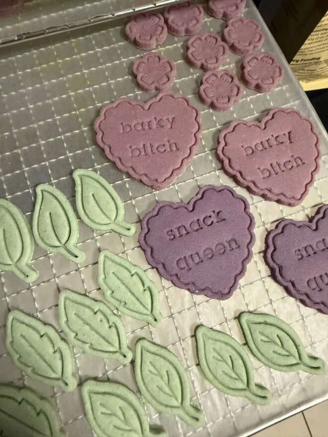 Bitchie Bikkies