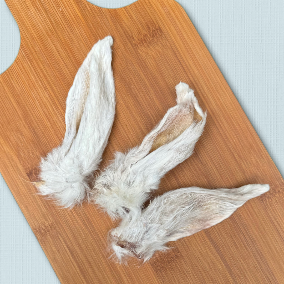 Furry White Rabbit Ears