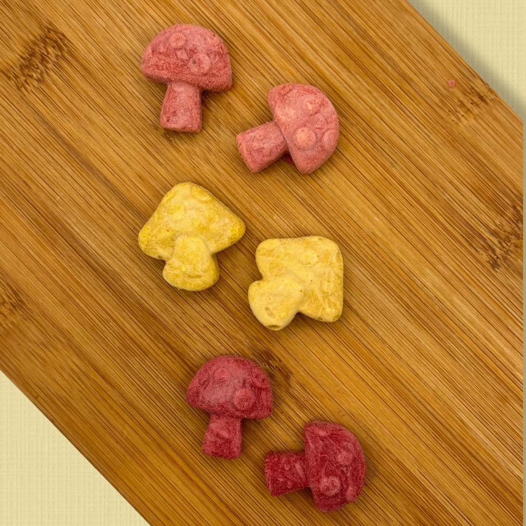 Autumn Mushie Bites