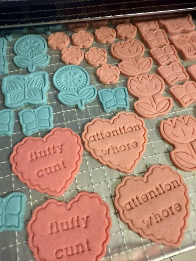 Bitchie Bikkies