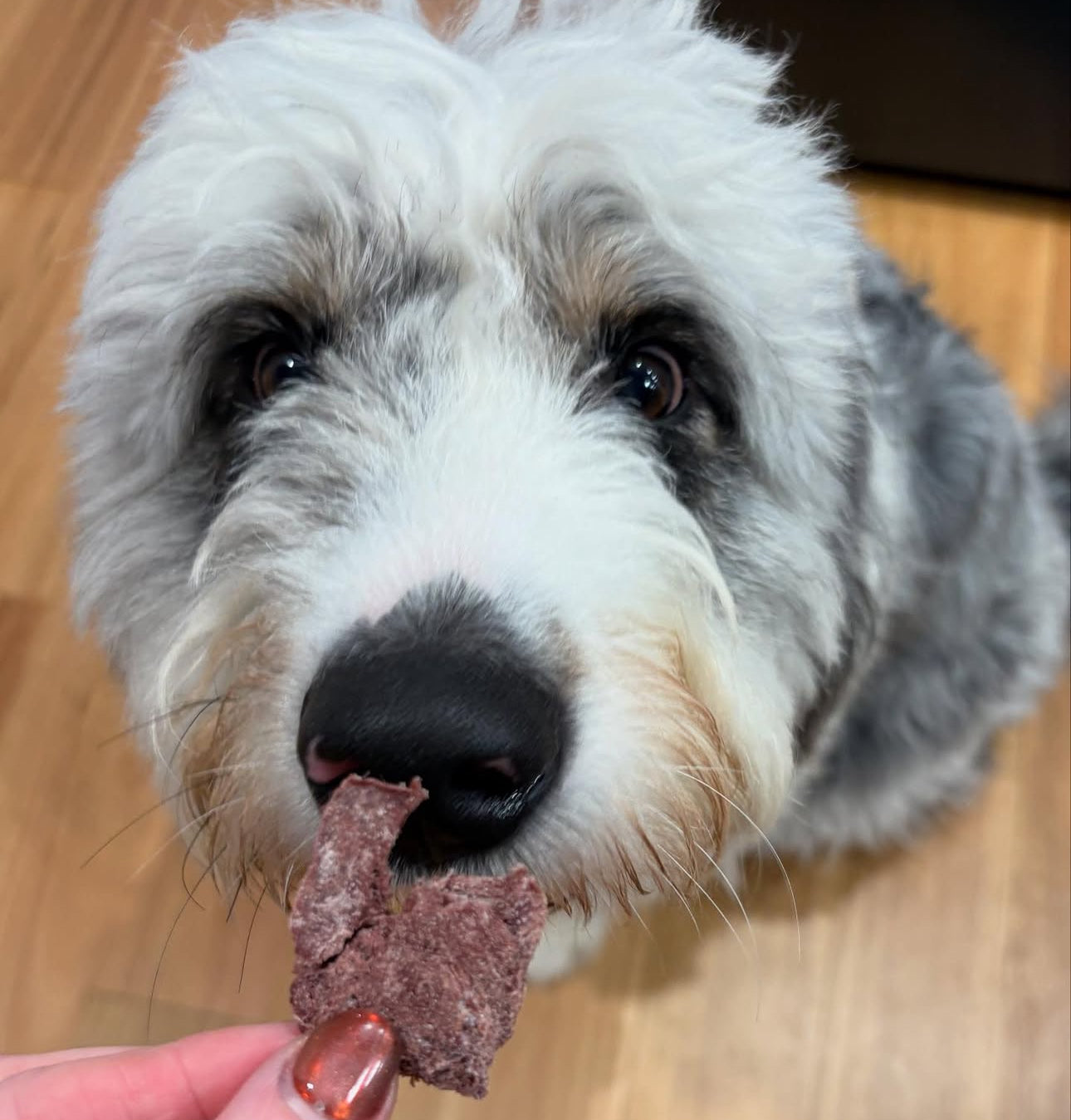 Freeze Dried Kangaroo