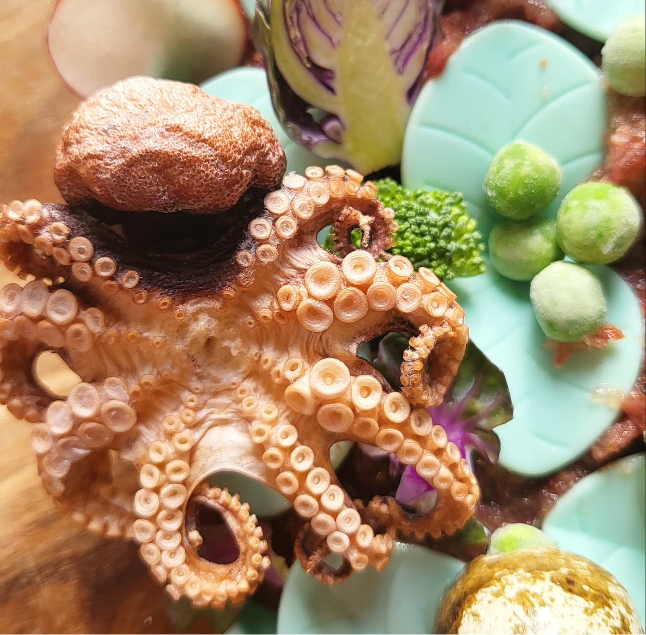 Freeze Dried Baby Octopus 2.0