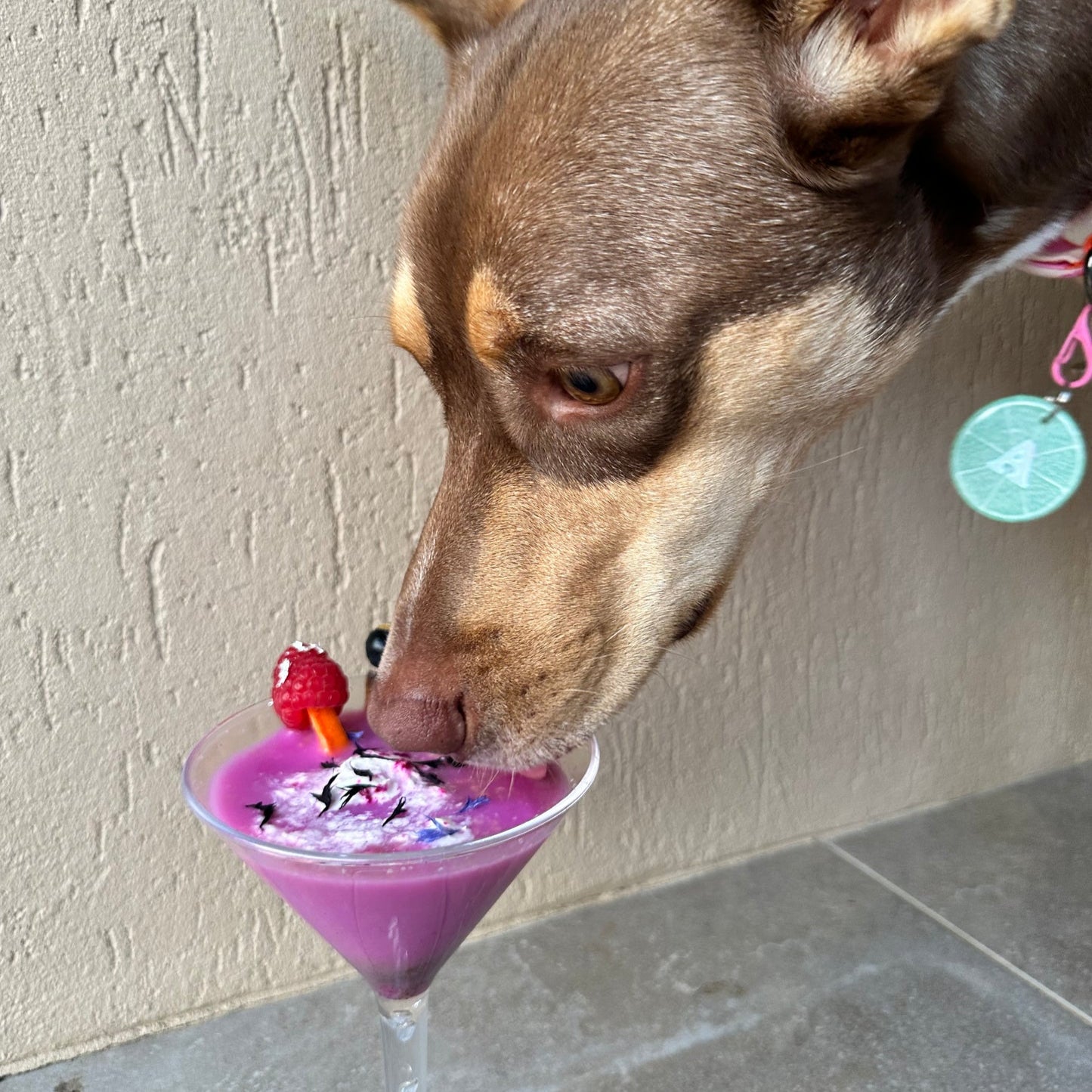 Purple Haze Freakshake