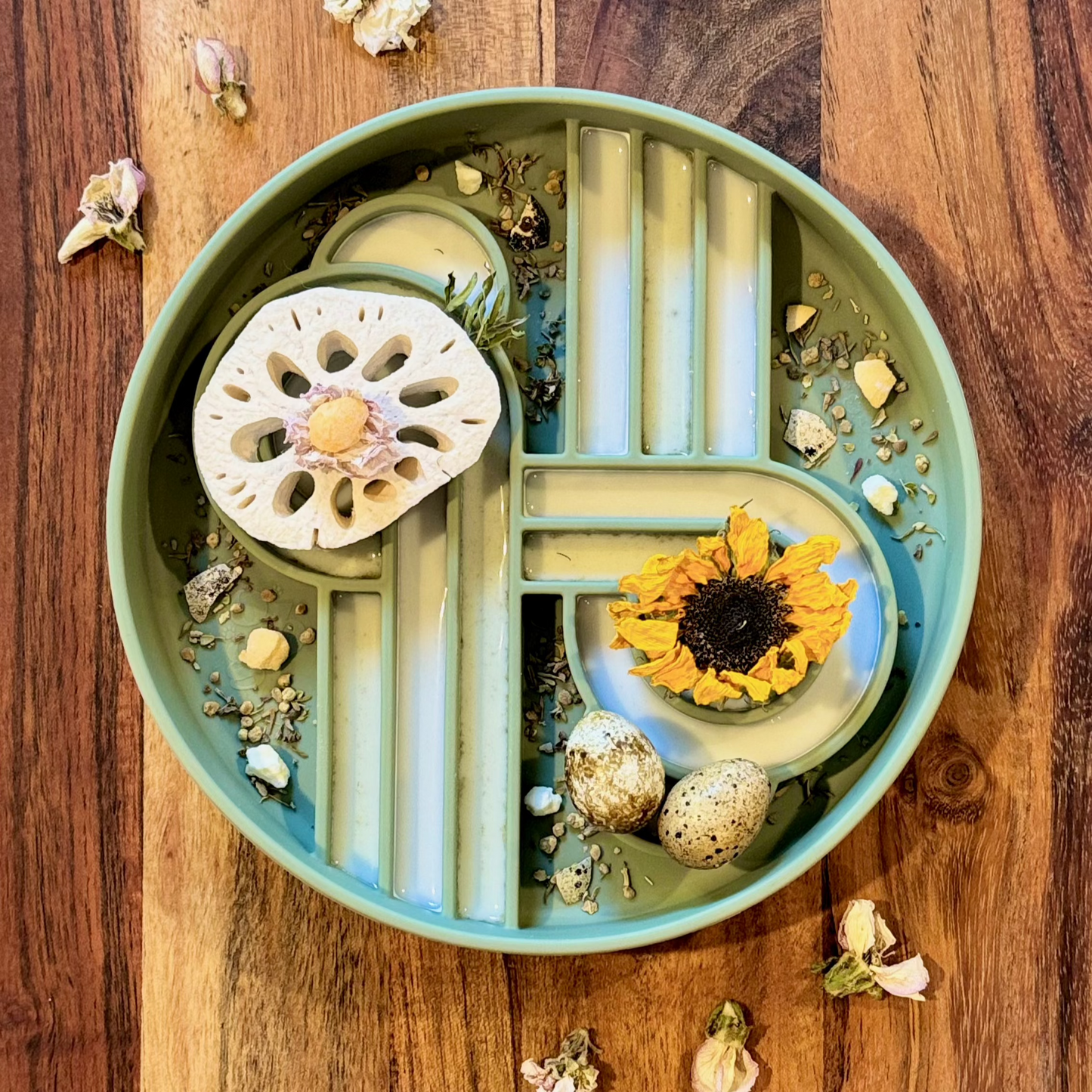 Zoomies E&C Limited Edition - Artichoke