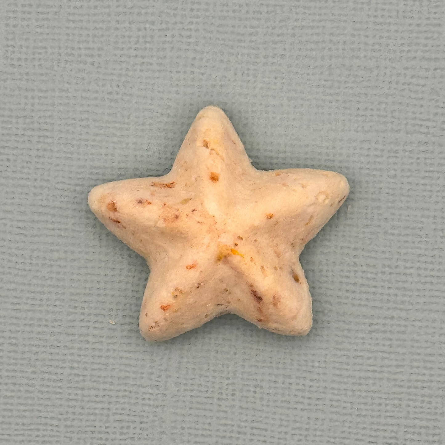 Prawn Stars