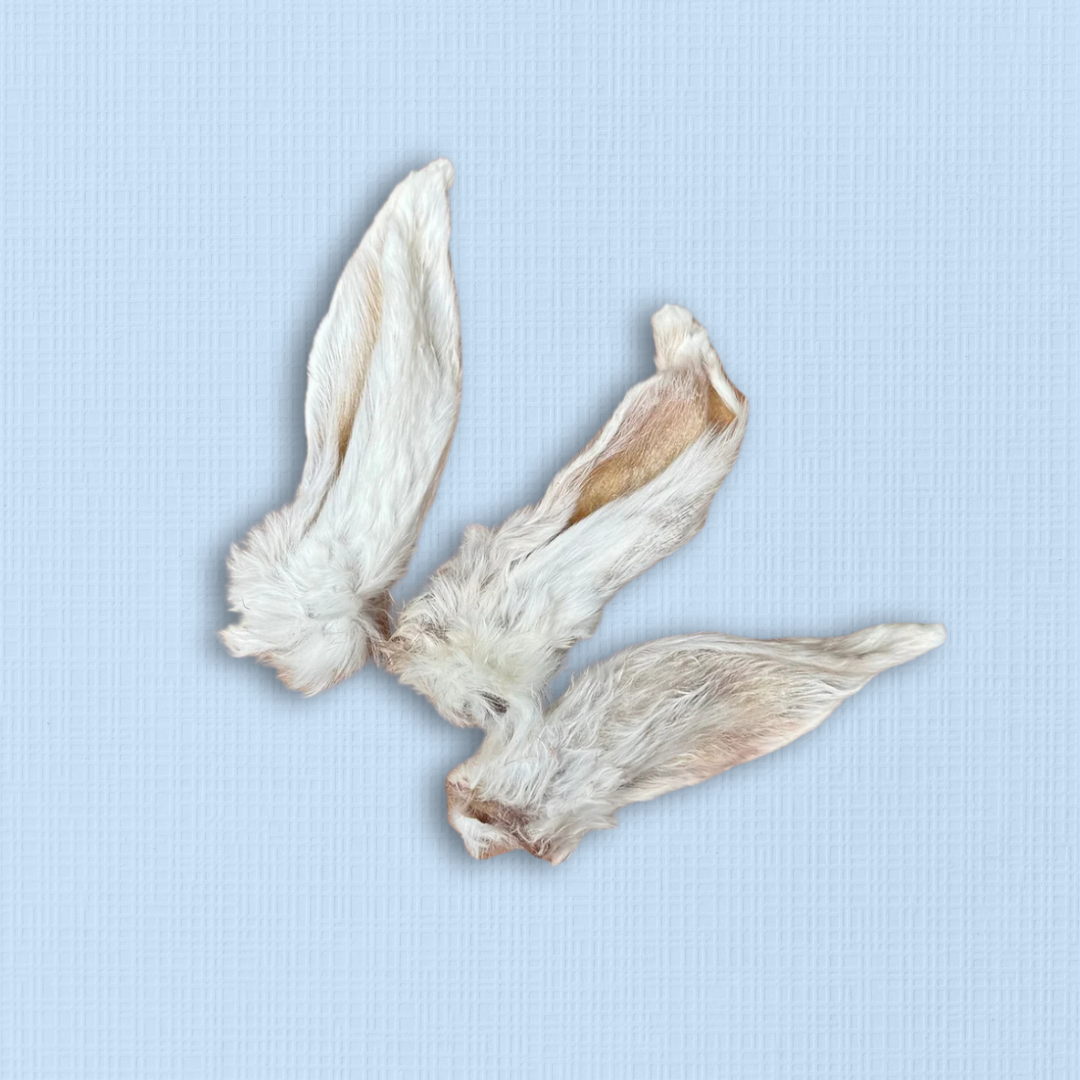 Furry White Rabbit Ears