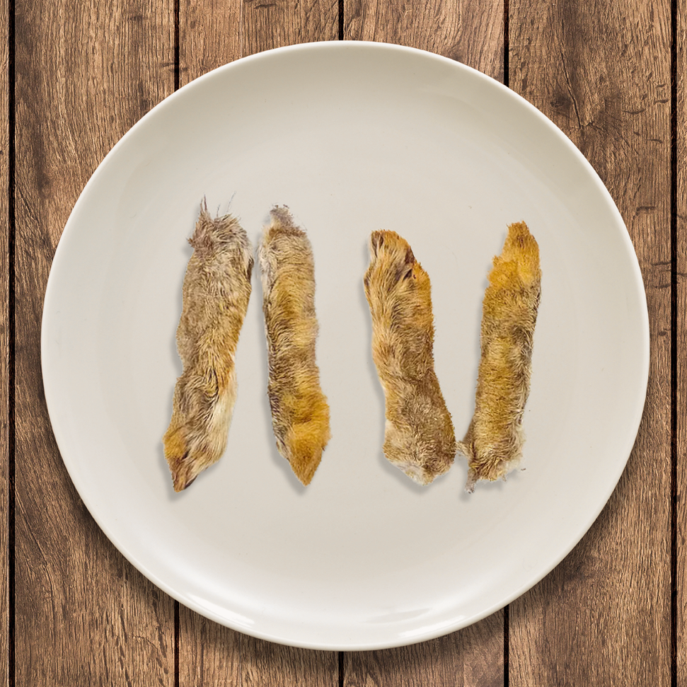Furry Wild Rabbit Feet