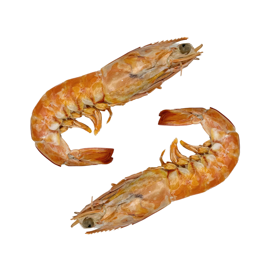 Freeze Dried XLarge Prawns image 2