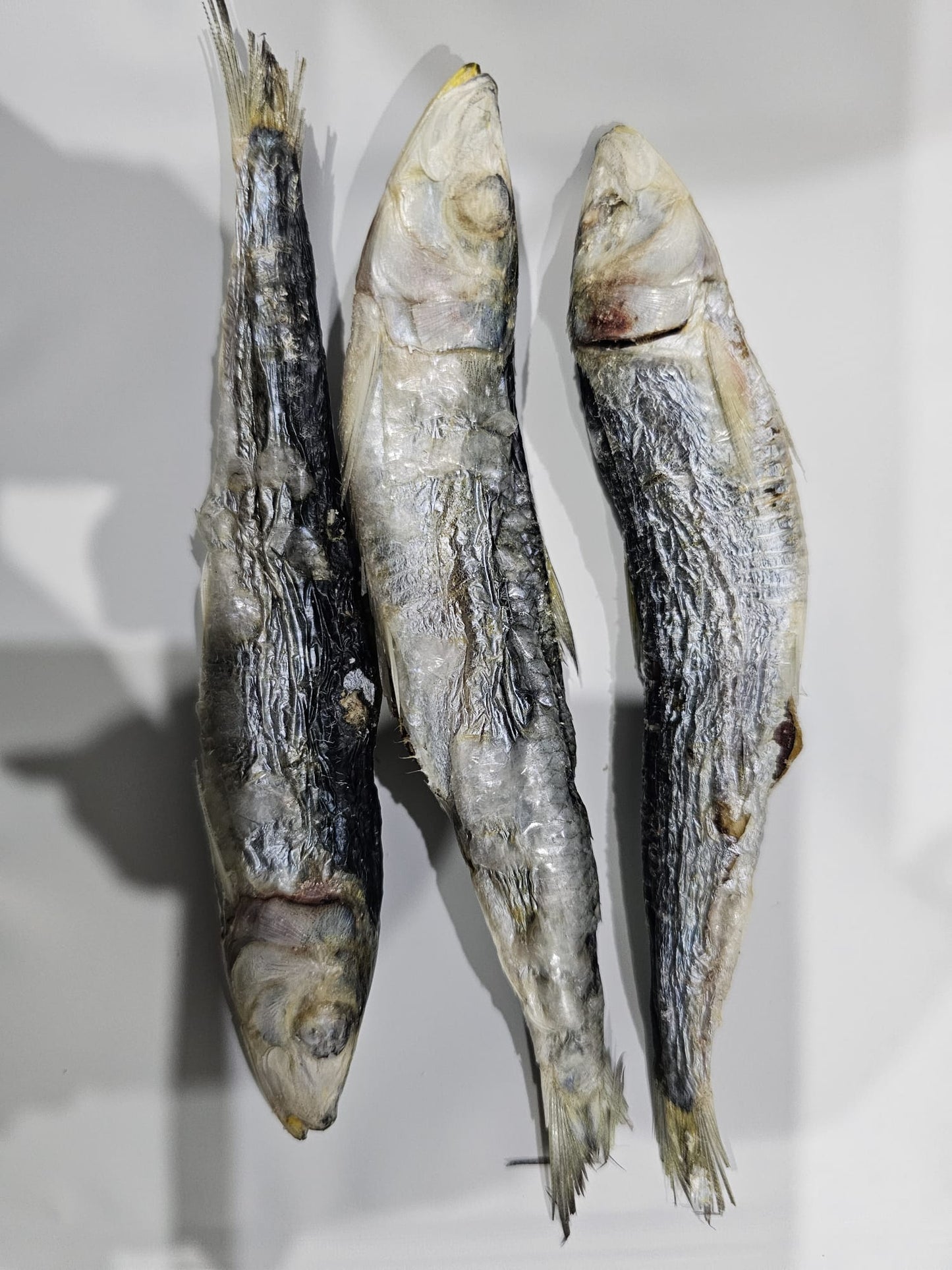 Freeze Dried Sardines