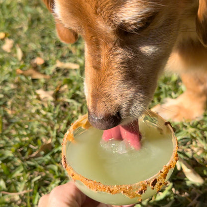 Freakshake Snack Pack - Dog Milkshakes by Norm image 5