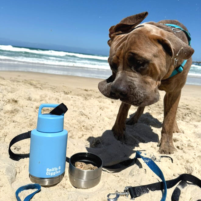 Walkabout Water Bottle - Iris (Blue) image 3