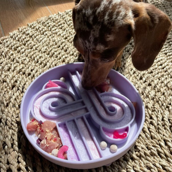 Zoomies Slow Feeder by Ollie b. Good image 5