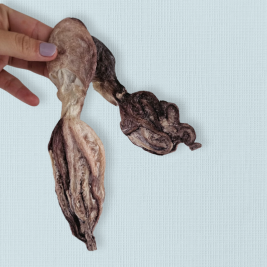 Freeze Dried Baby Octopus