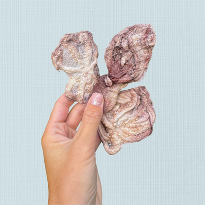 Freeze Dried Baby Octopus