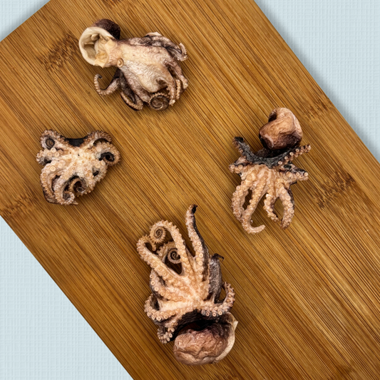 Freeze Dried Baby Octopus 2.0