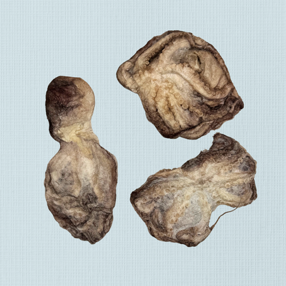 Freeze Dried Baby Octopus