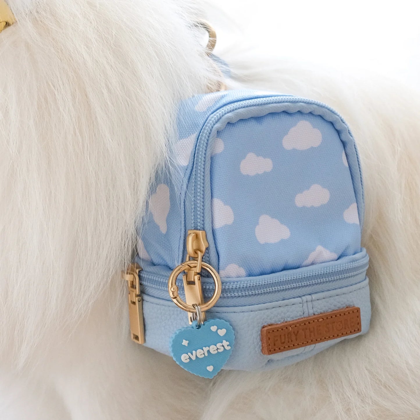 Everest’s Mini Day Pack