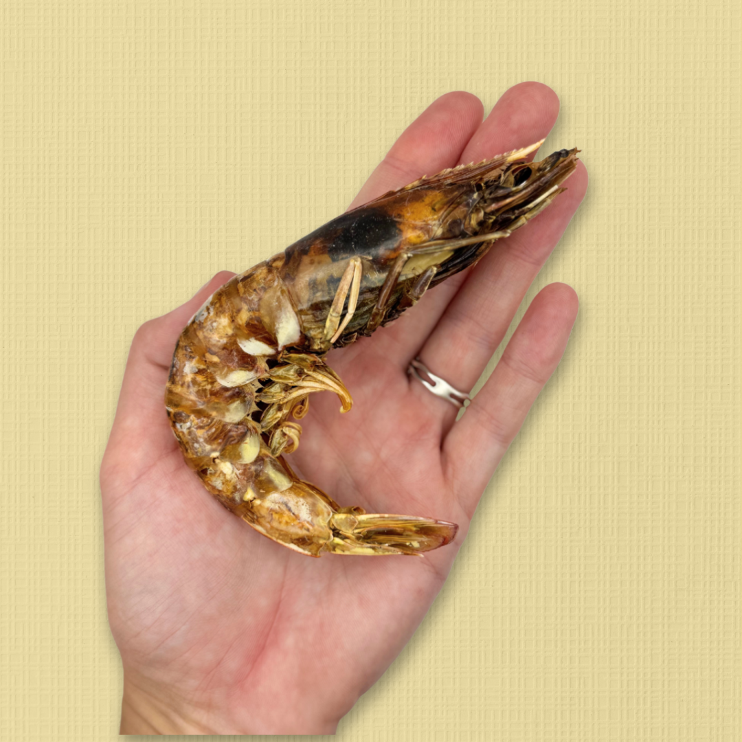 Dehydrated Giant King Prawns