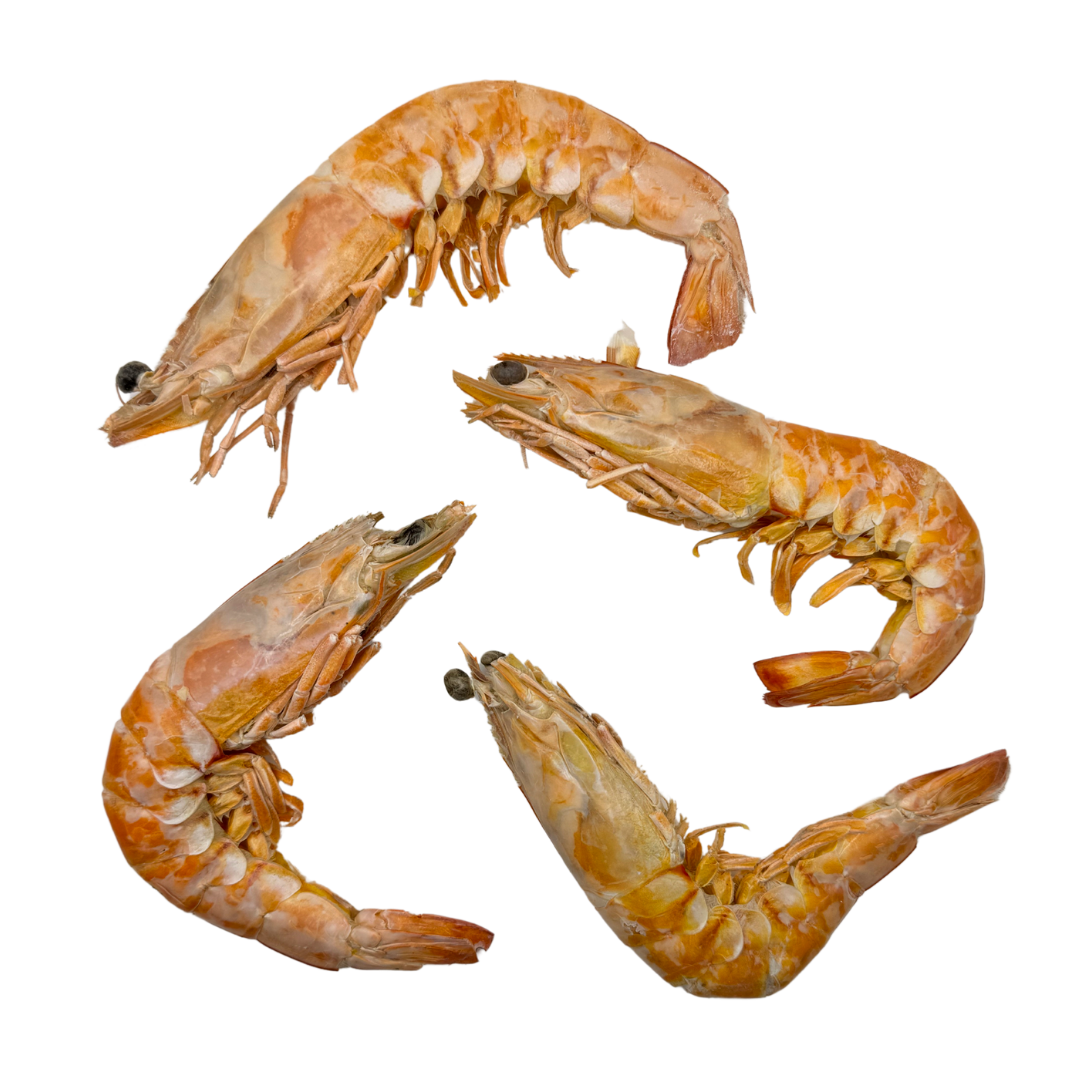Freeze Dried XLarge Prawns image 0