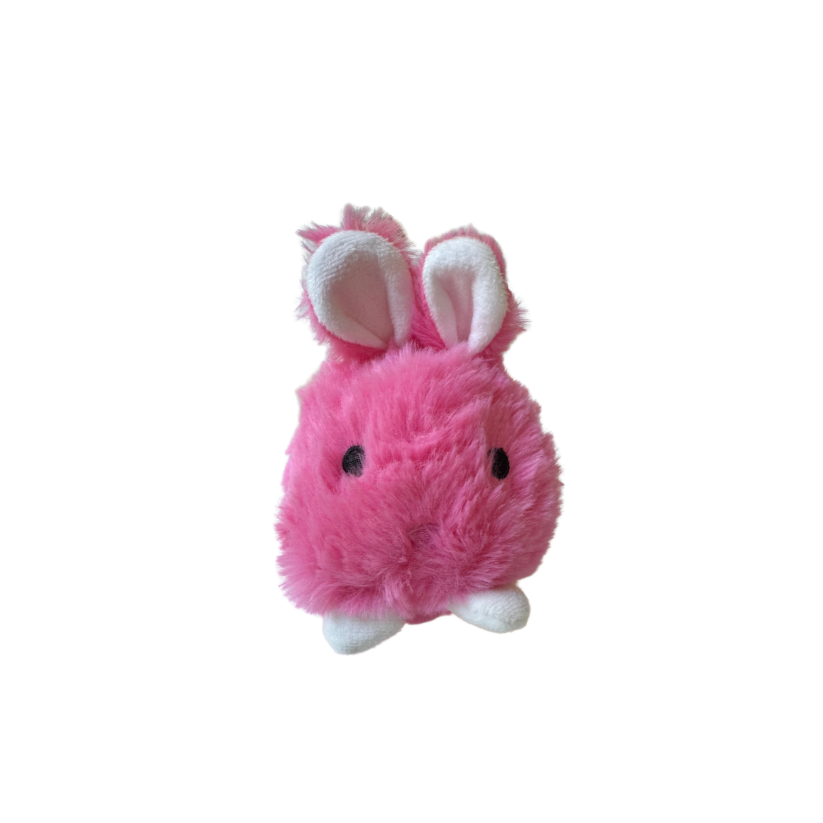 Bouncing Bunny Squeaker Ball image 1