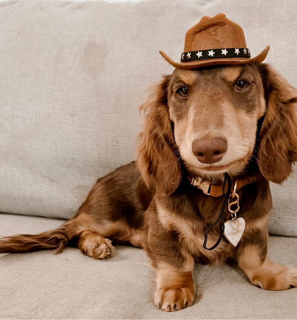 Cowboy Hat image 4