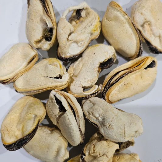 Freeze Dried Green Lipped Mussels