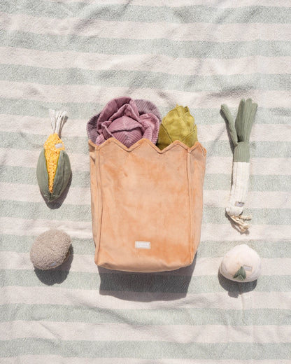 Farmer's Market Snuffle Toy Set