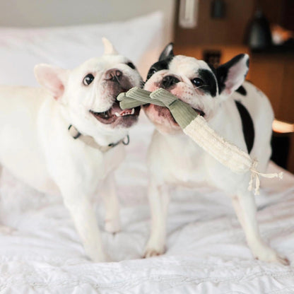 Farmer's Market Snuffle Toy Set