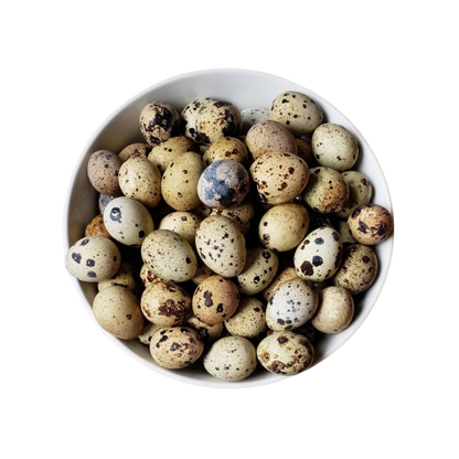 Freeze Dried Whole Quail Eggs - 12 Pack image 0