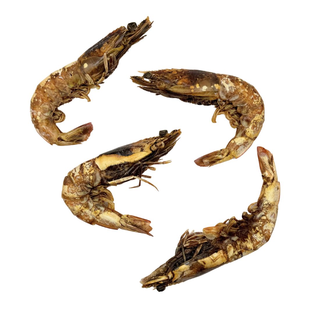 Dehydrated XLarge Prawns image 2