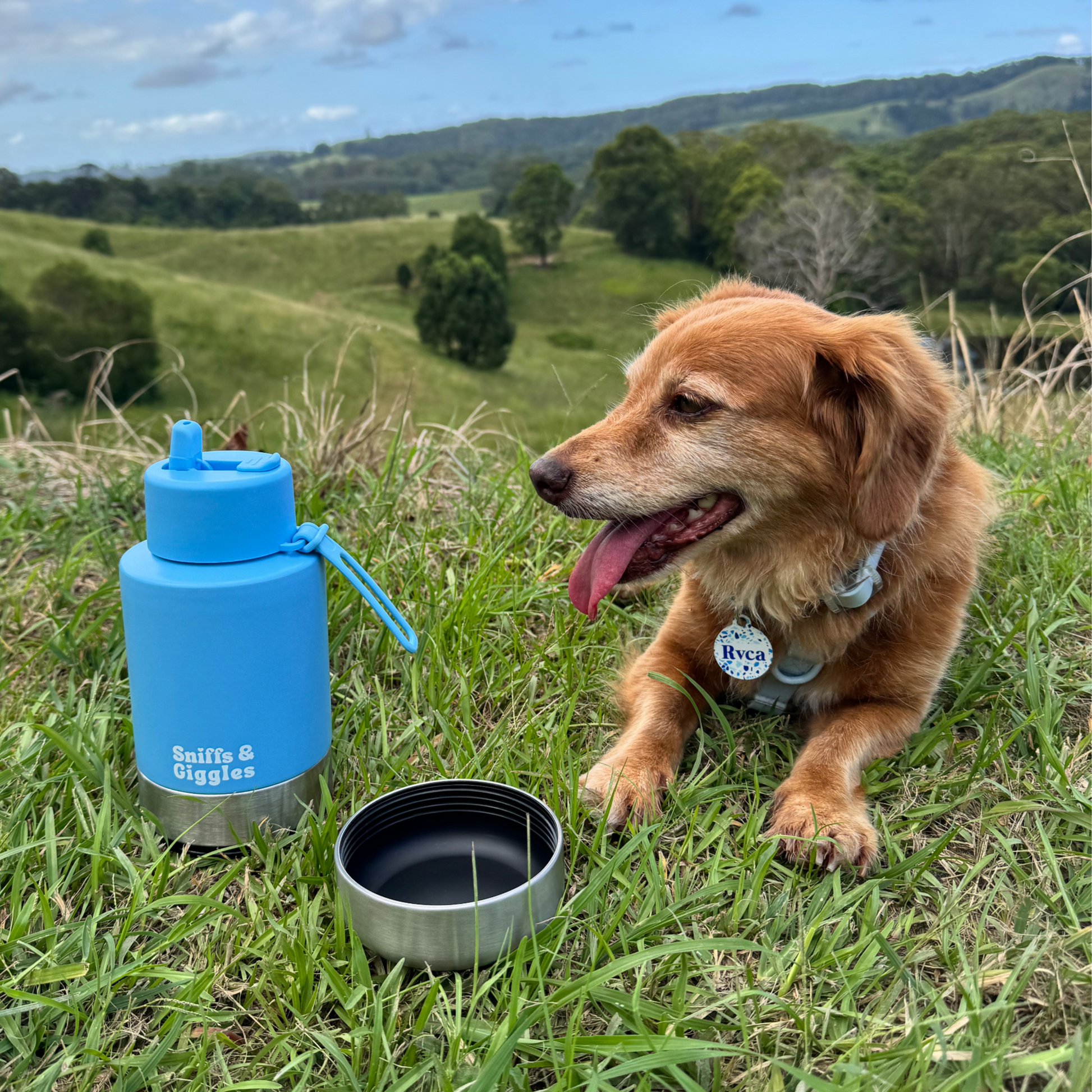Walkabout Water Bottle - Iris (Blue) image 1