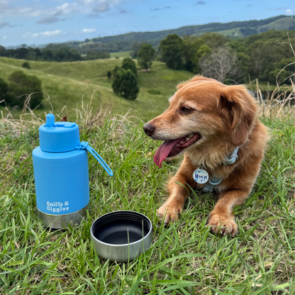 Walkabout Water Bottle - Iris (Blue) image 1