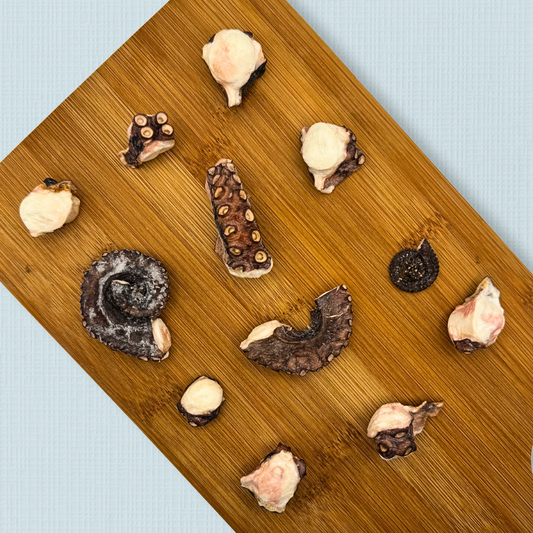 Freeze Dried Octopus Chips