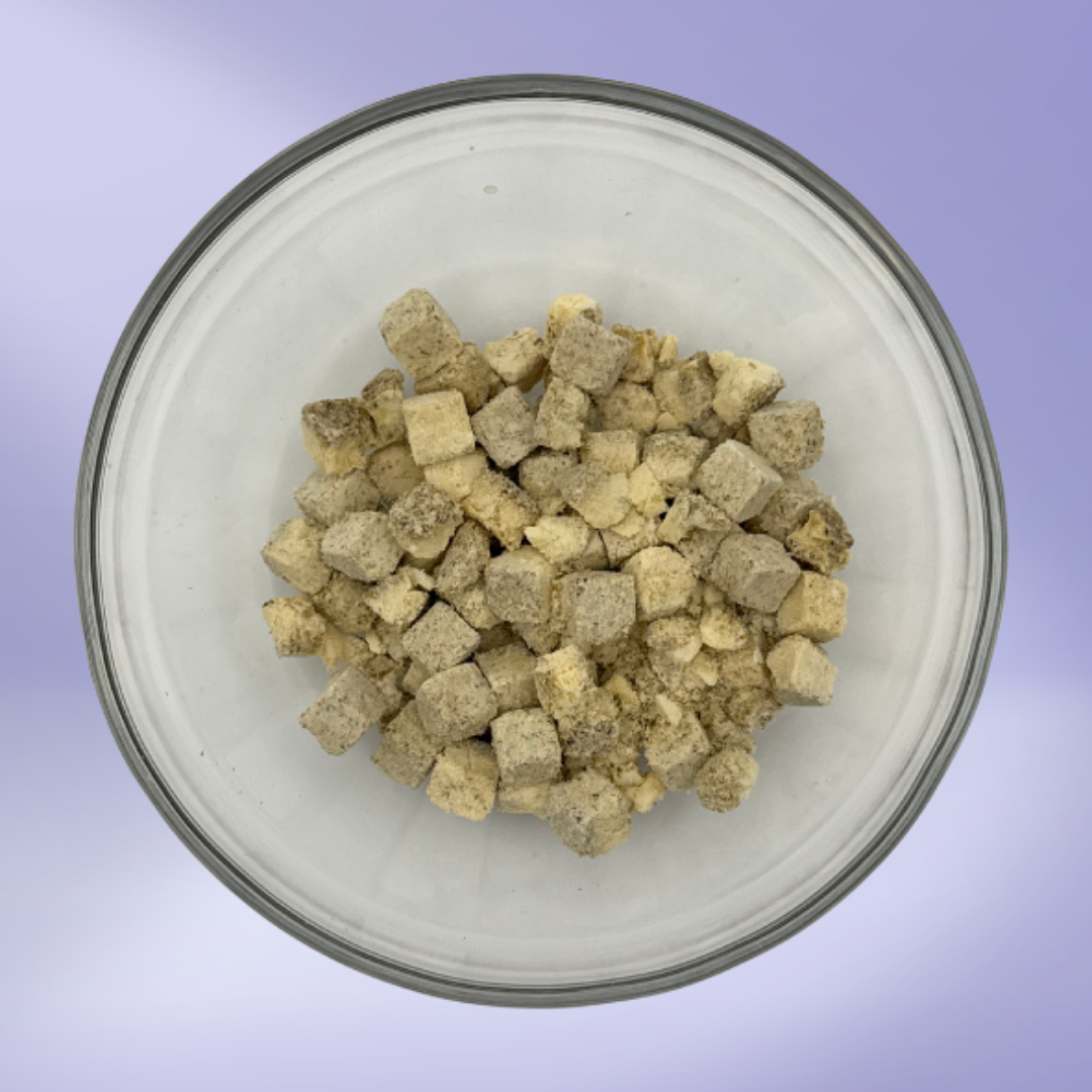 Brain Boost Bug Bites - Black Soldier Fly Larvae & Yogurt