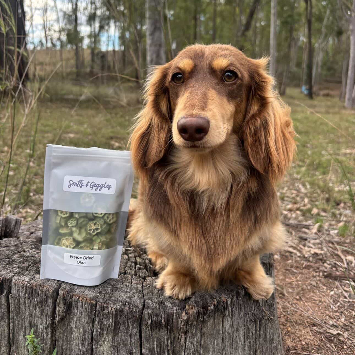 Freeze Dried Okra
