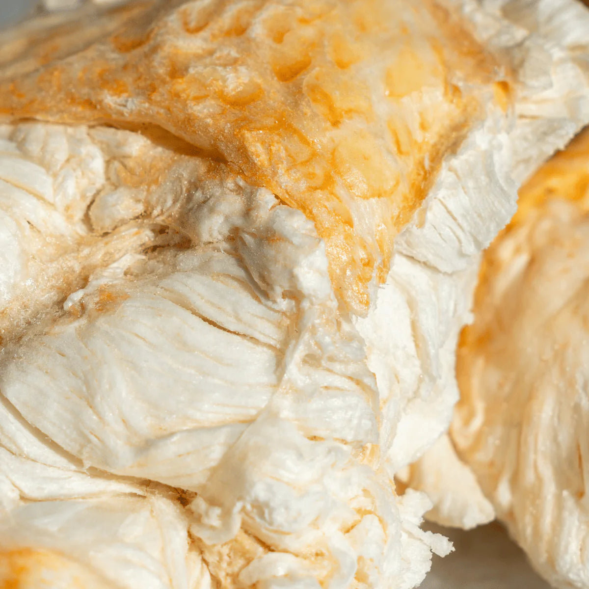 Freeze Dried Southern Rock Lobster image 1