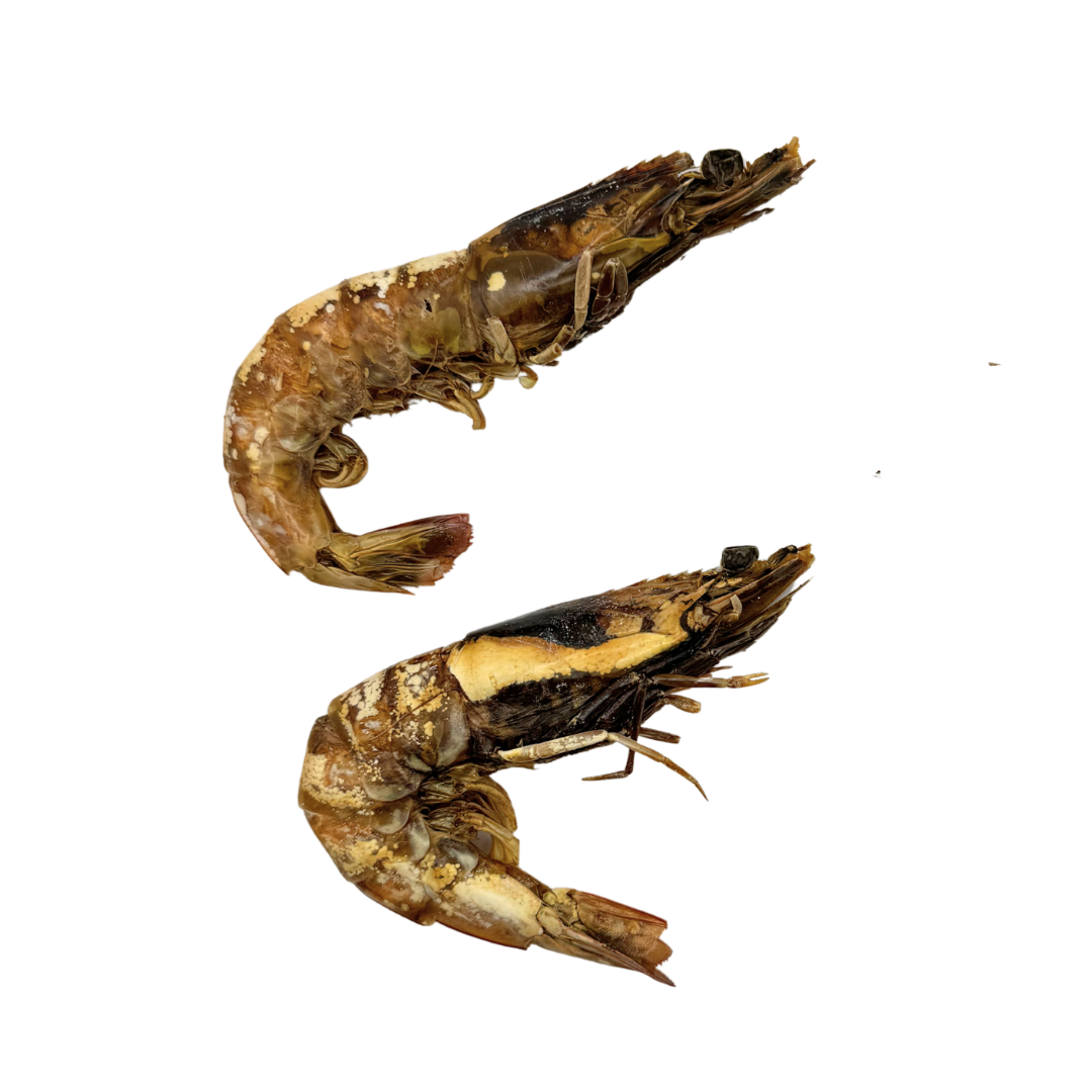 Dehydrated XLarge Prawns image 3