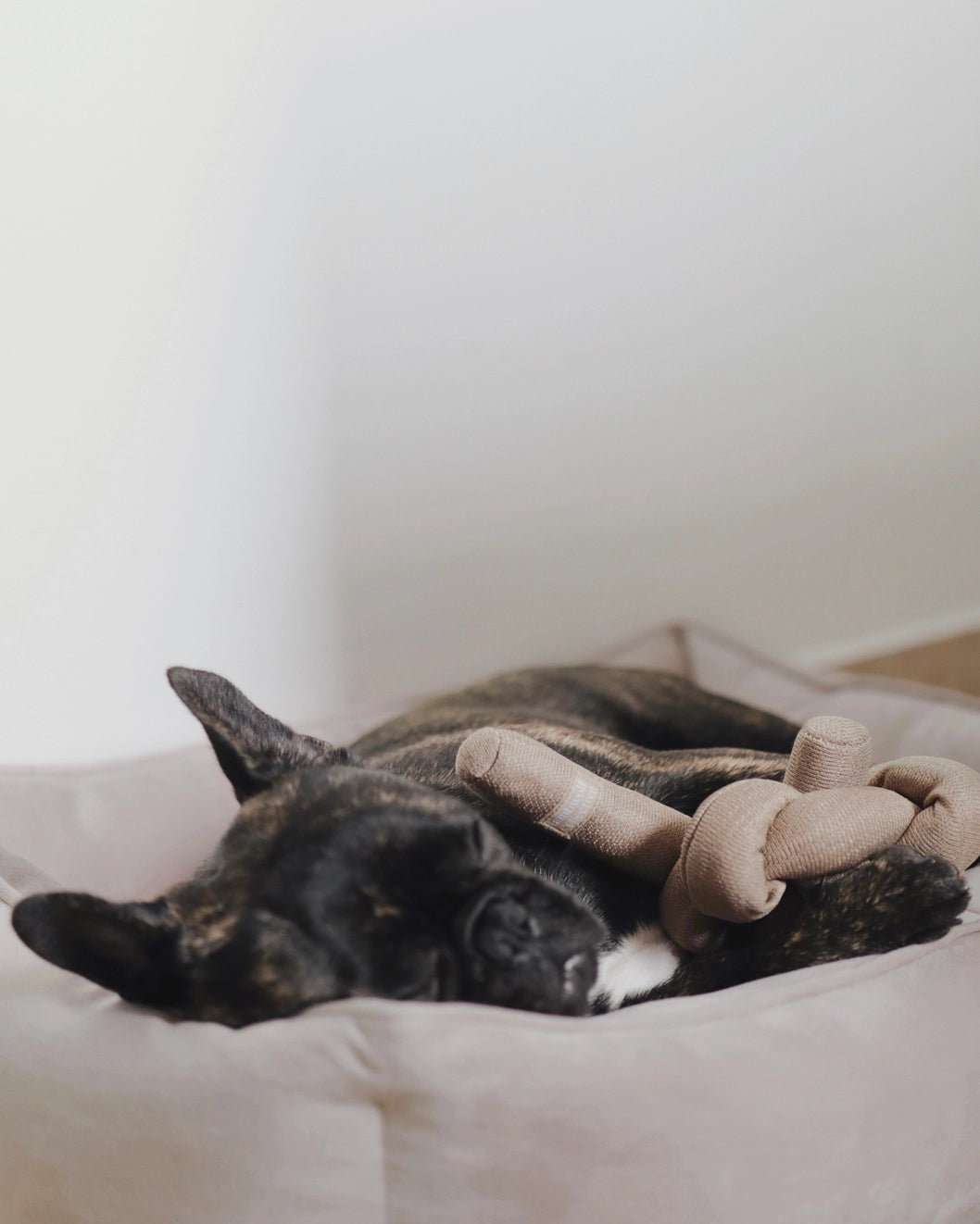 Nou Enrichment Dog Toy
