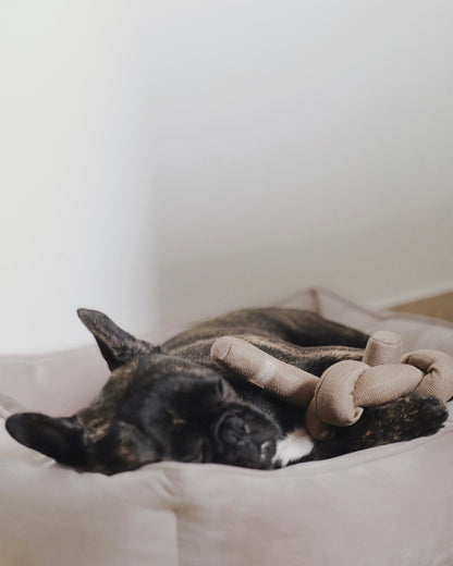 Nou Enrichment Dog Toy