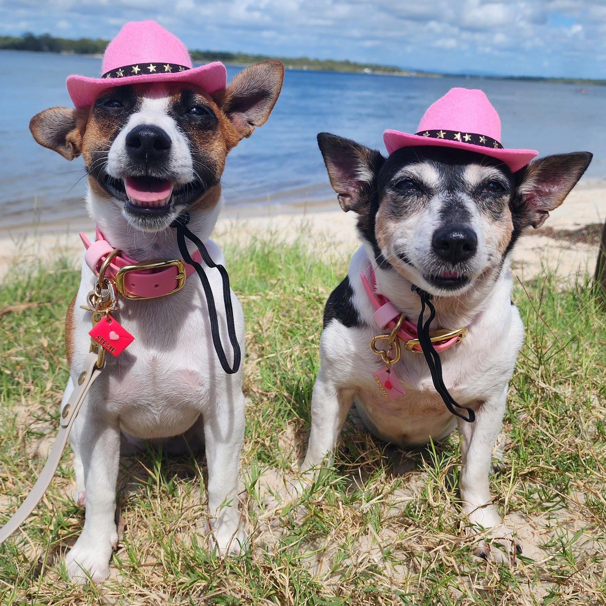 Cowboy Hat image 3