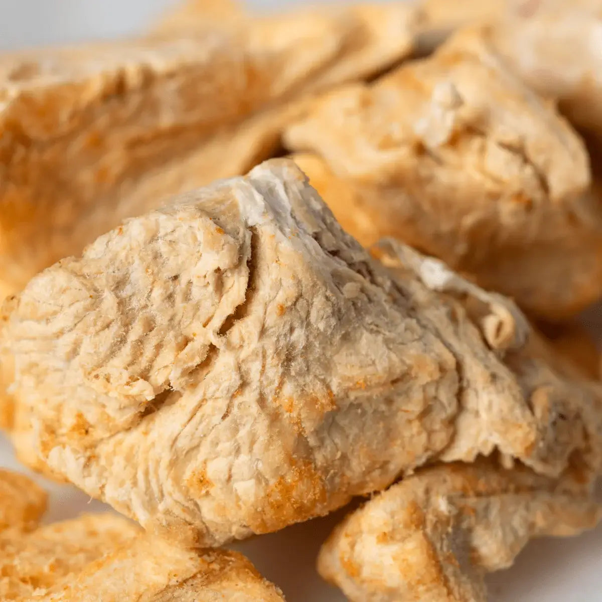 Freeze Dried Crocodile Bites image 1
