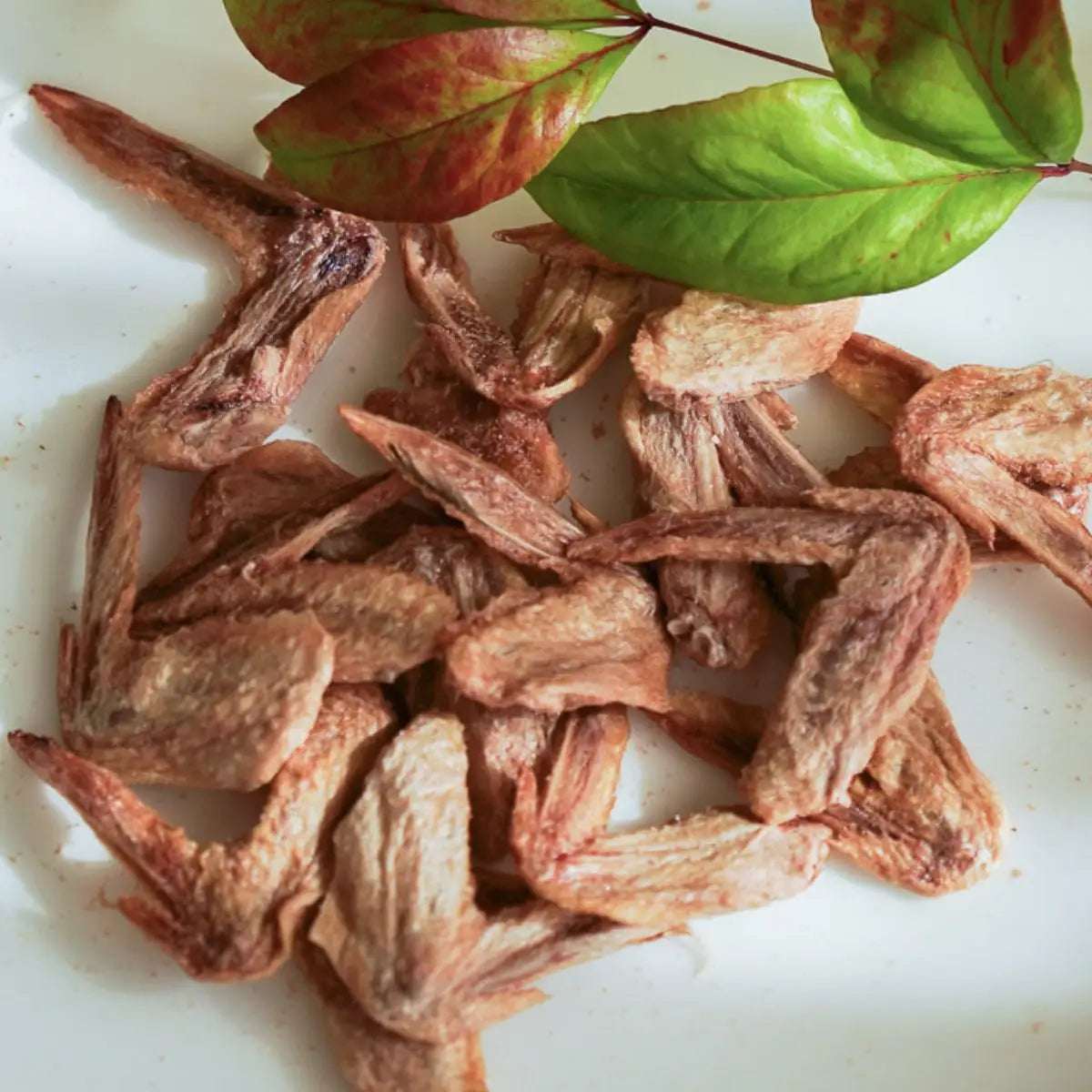 Freeze Dried Quail Wings image 4