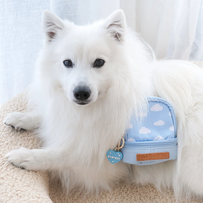 Everest’s Mini Day Pack