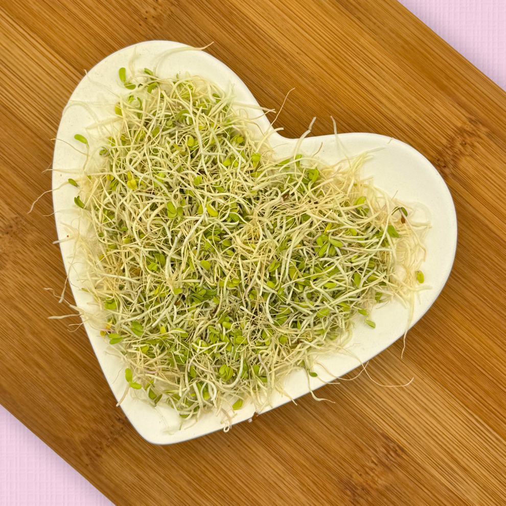 Freeze Dried Alfalfa – Sniffs & Giggles